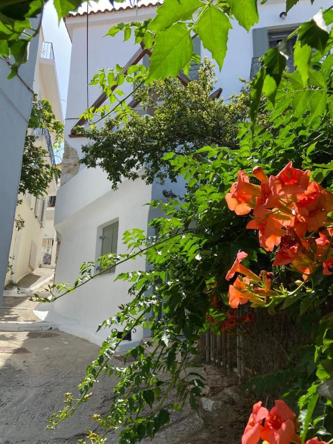 Raphael Living-olga * Skiathos Town