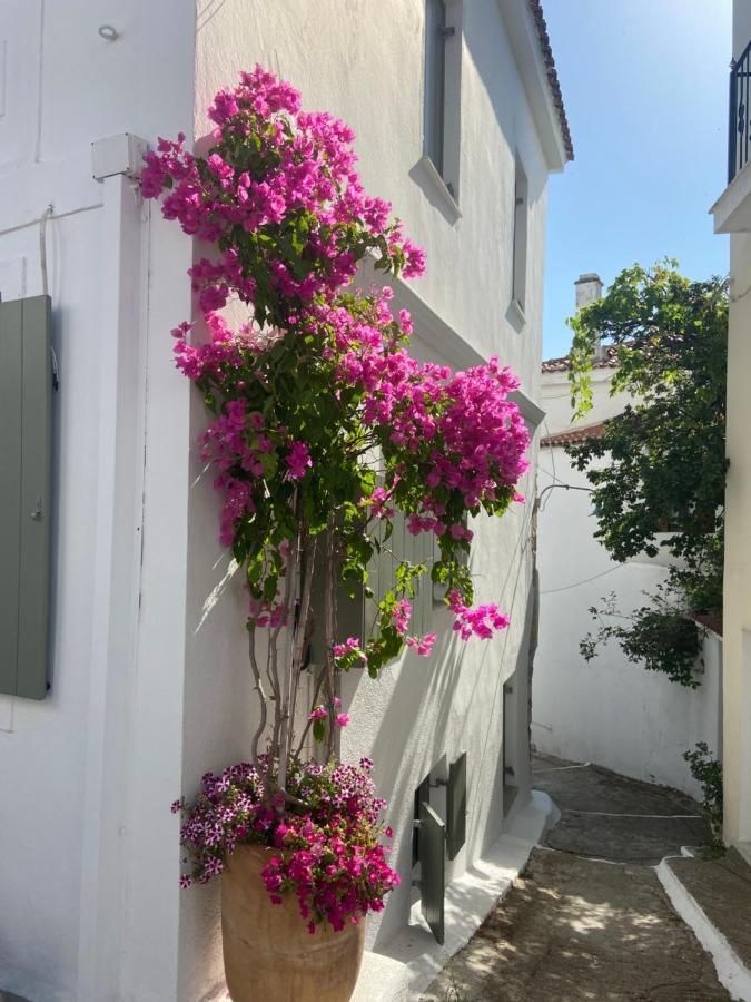 Raphael Living-olga Holiday home Skiathos Town