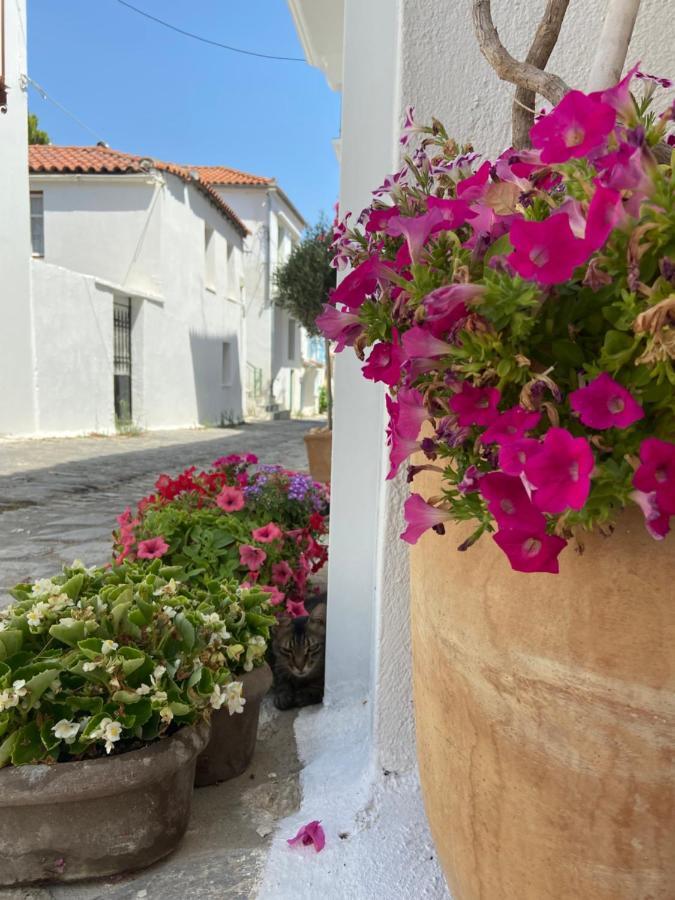 Raphael Living-olga Holiday home Skiathos Town